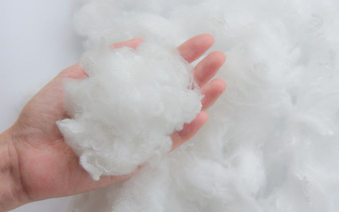 Why Polyester Fibres Continue To Dominate The Textile Market: Their Applications & Advantages